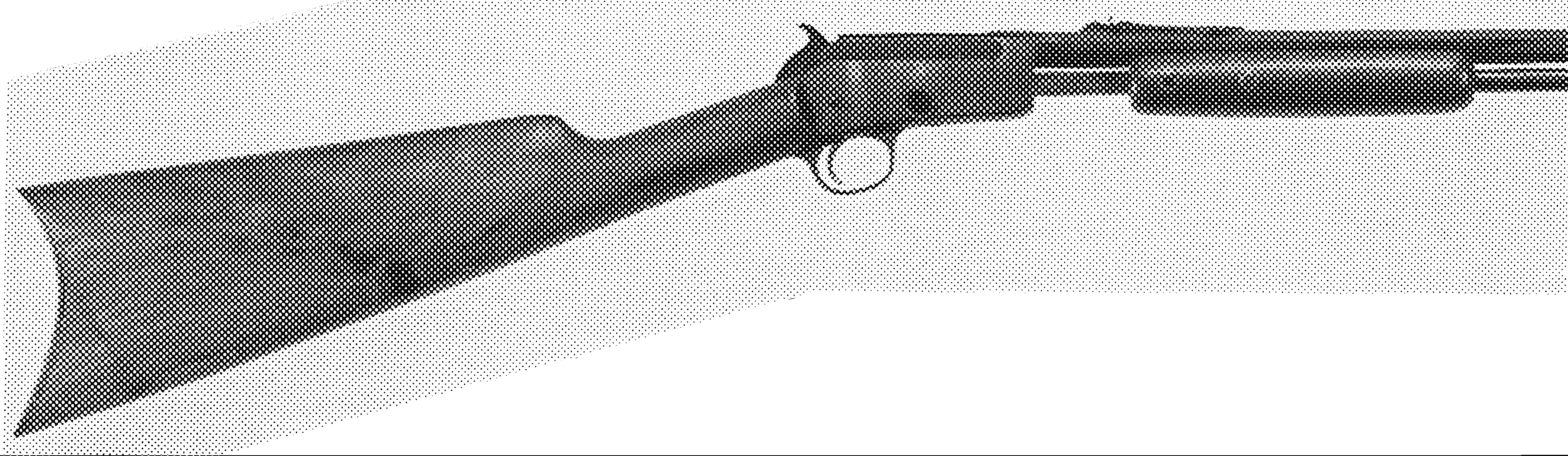 Model 20