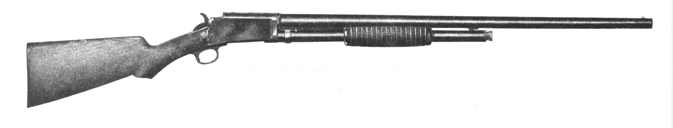 Model 24
