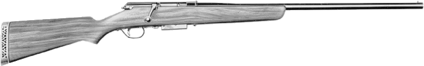 Model 55