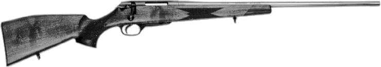 Model 225