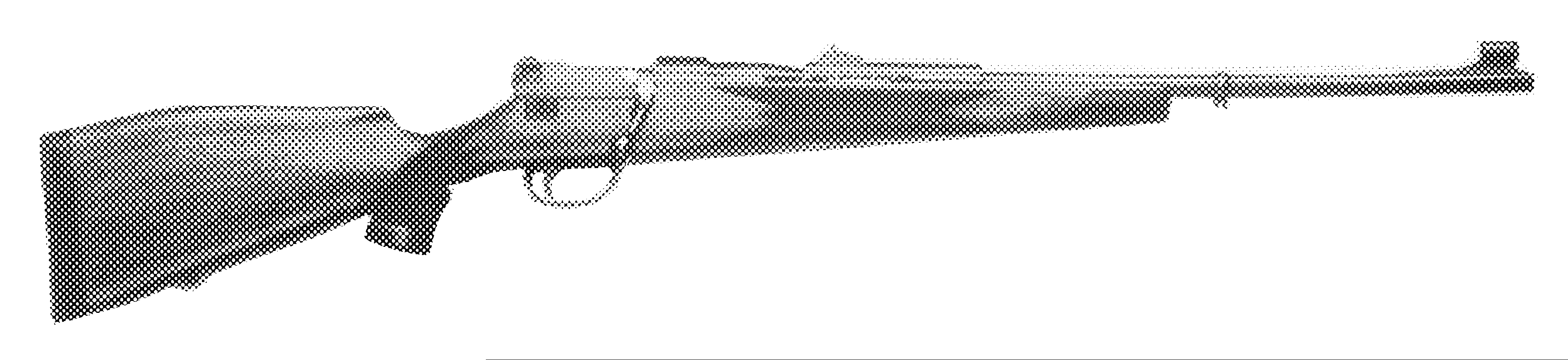 Model 66 Standard