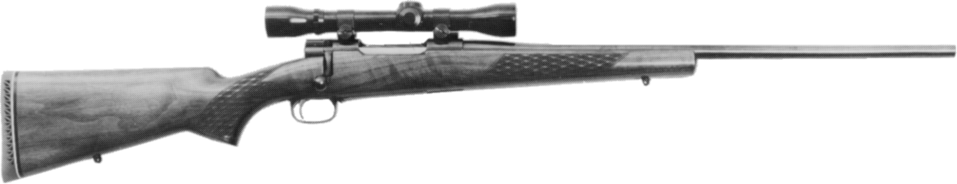 Valiant NR6