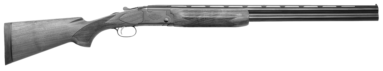 Model 300 Ideal