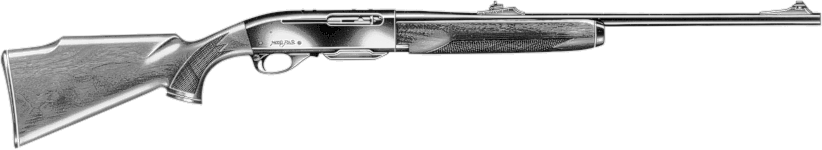 Model Four