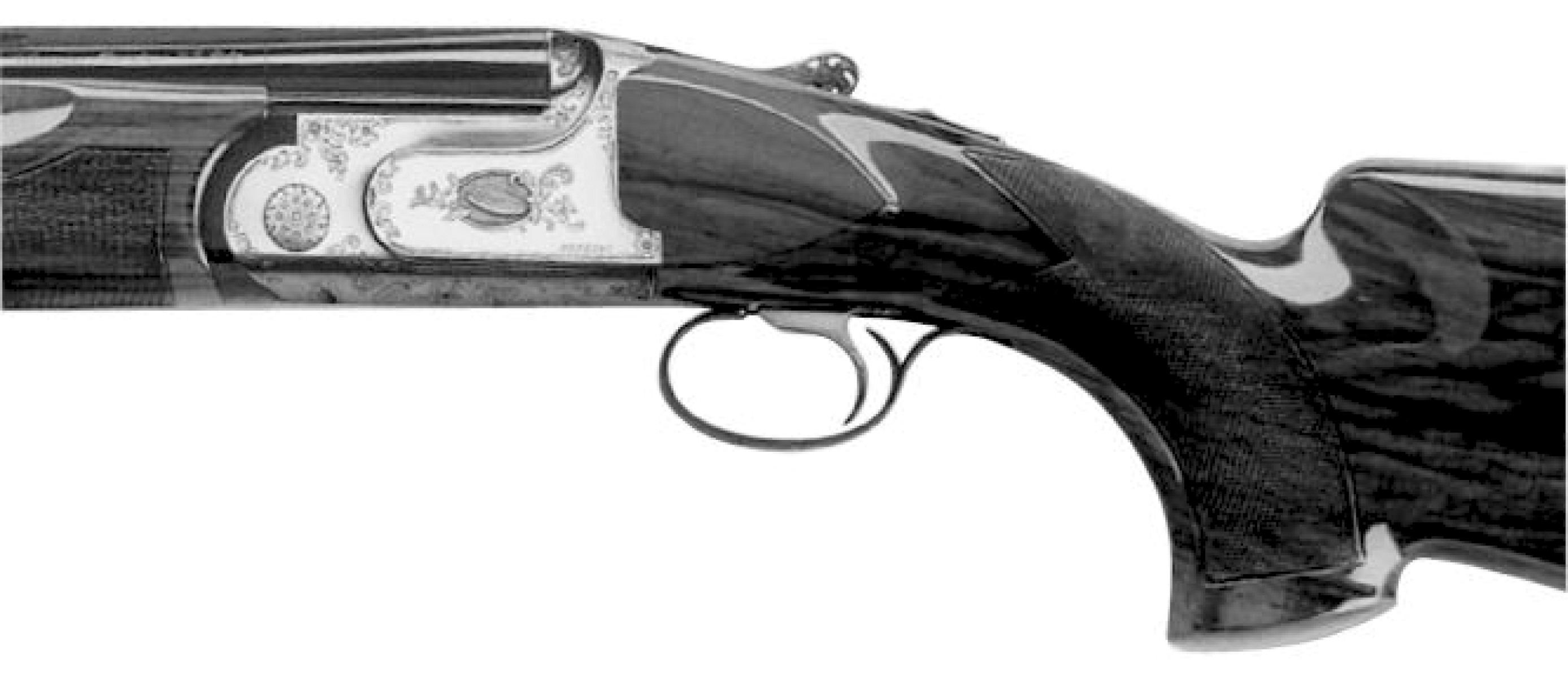 S790 EL Sporting