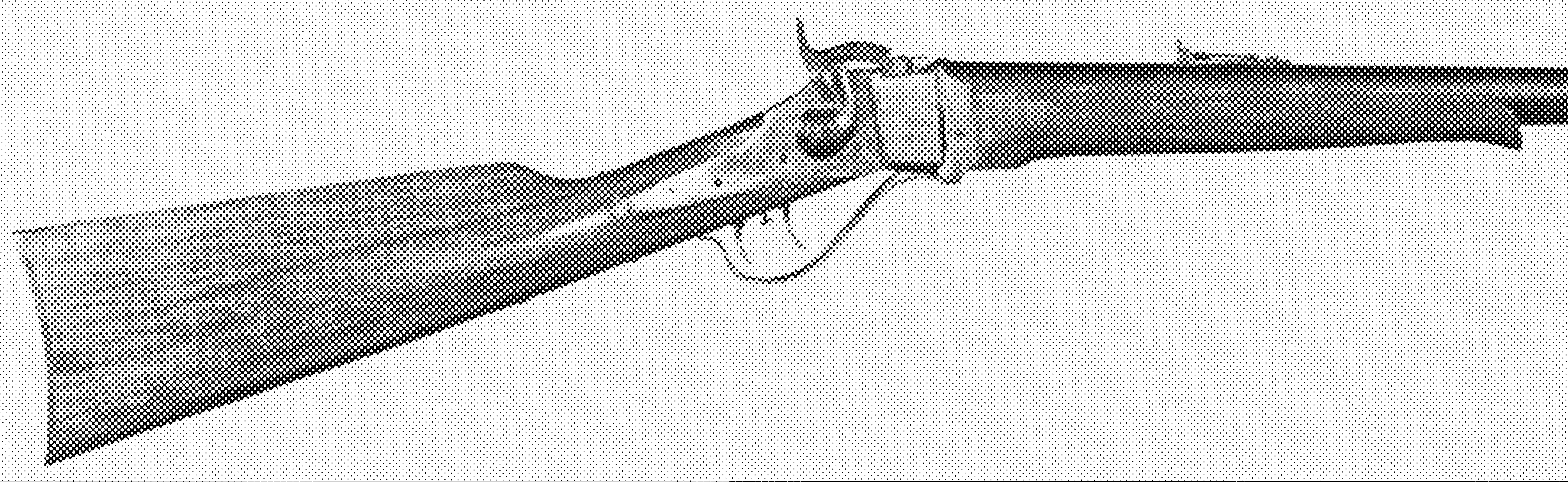 Business Rifle