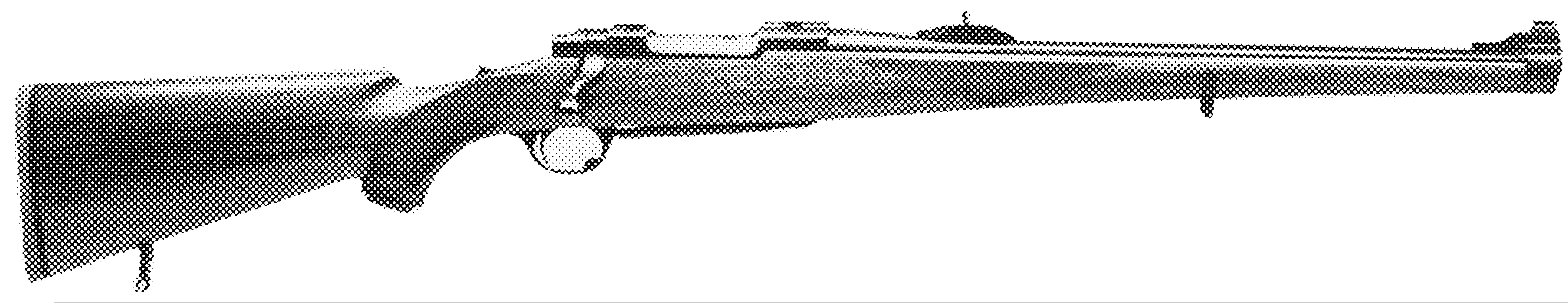 Model 77 RSI