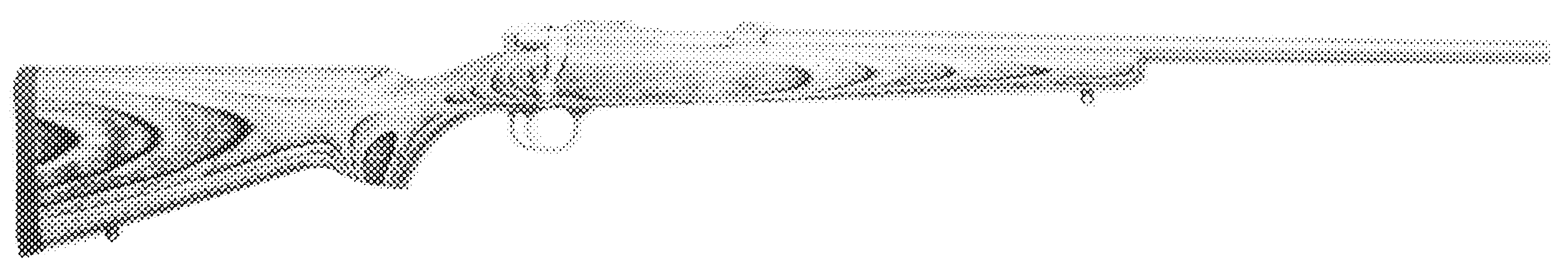 Model 77/22 Varmint