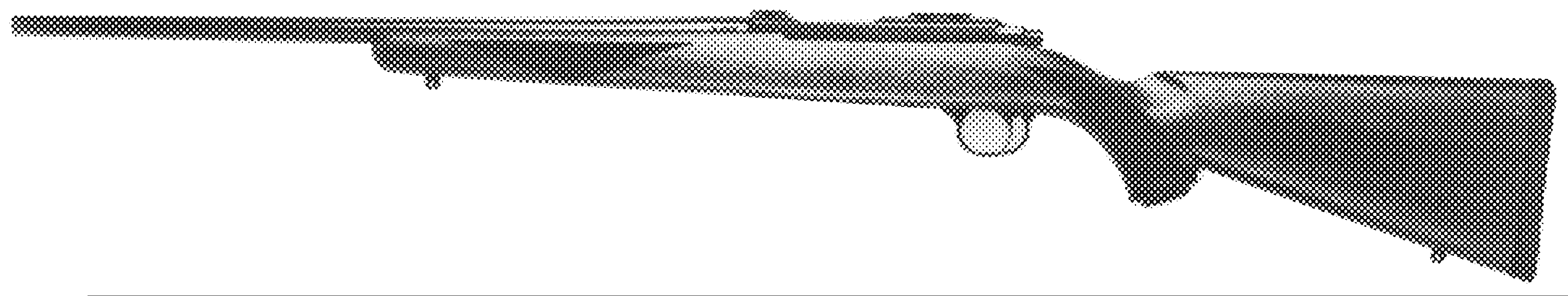 Model 77/22—.22 Hornet
