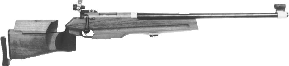 Model 300S