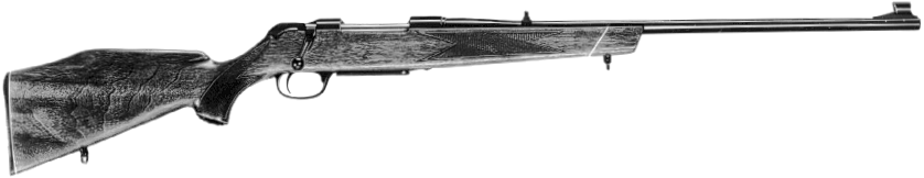 Model 5000 