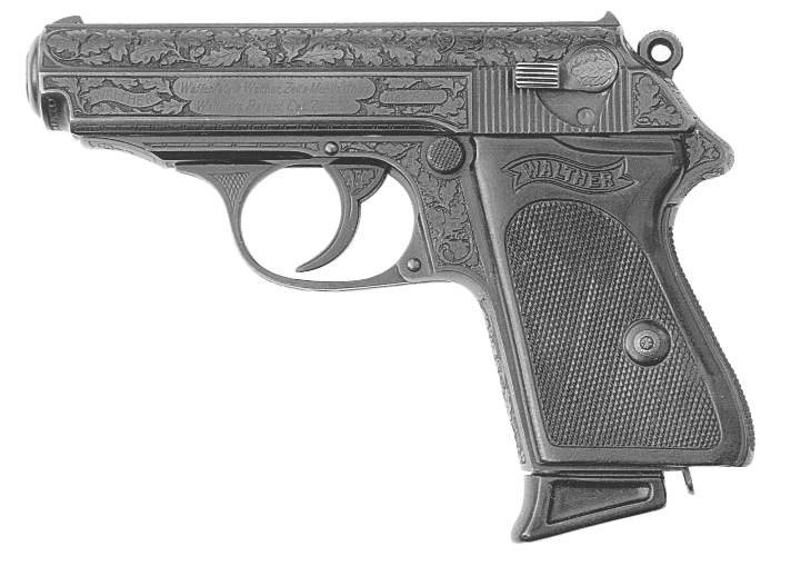 Model PPK