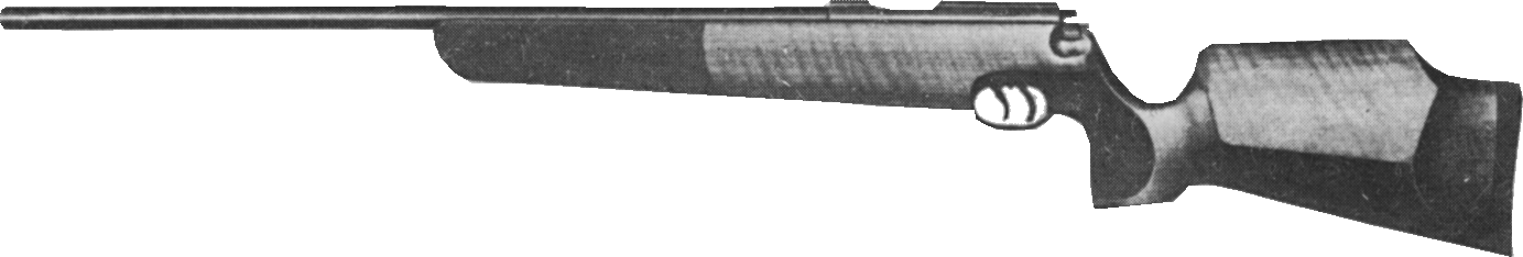Model SSV Varmint