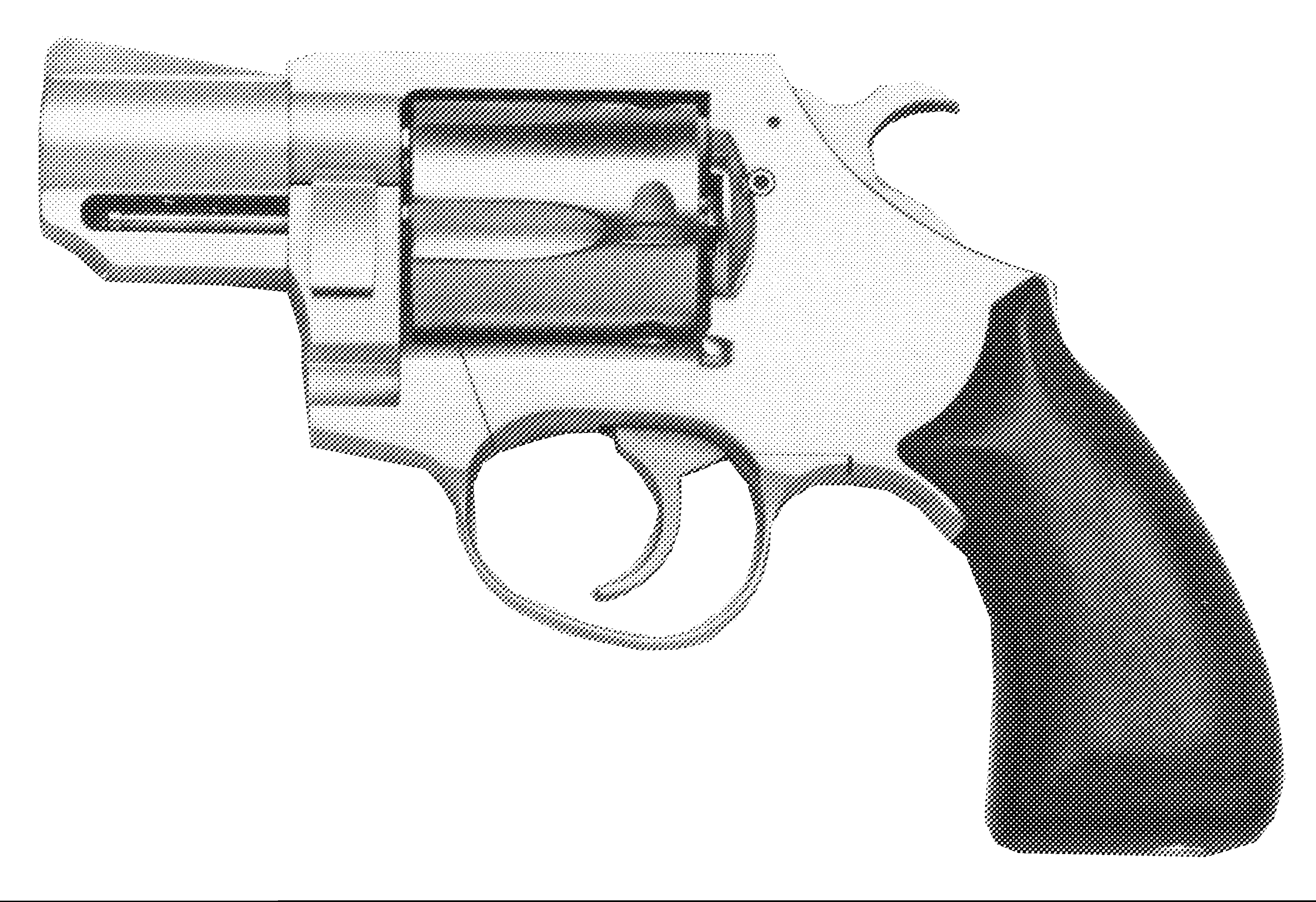 Model 738P