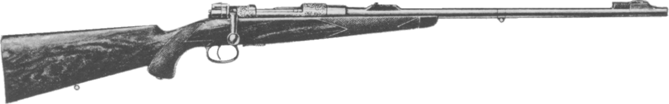 Magazine Rifle