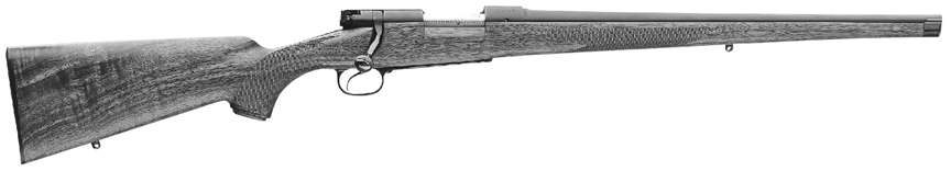 Model 70 Custom