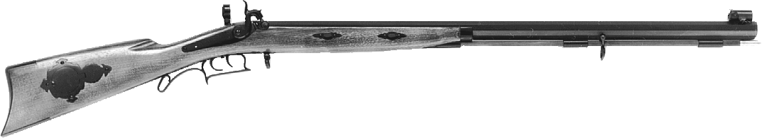 Tryon Creedmoor Rifle