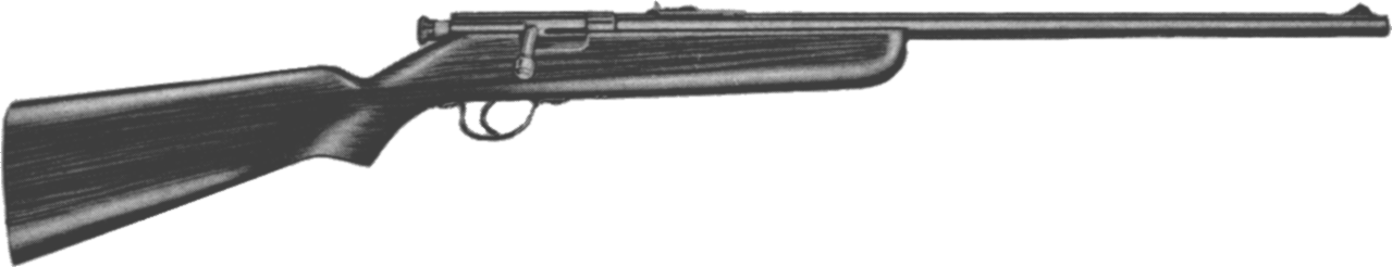 Model 10