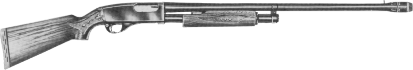 Model 66RCLP