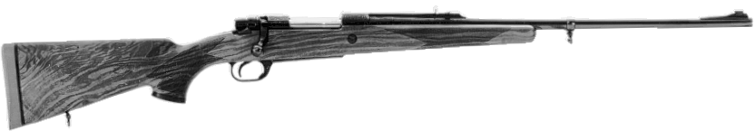 Model 81 African