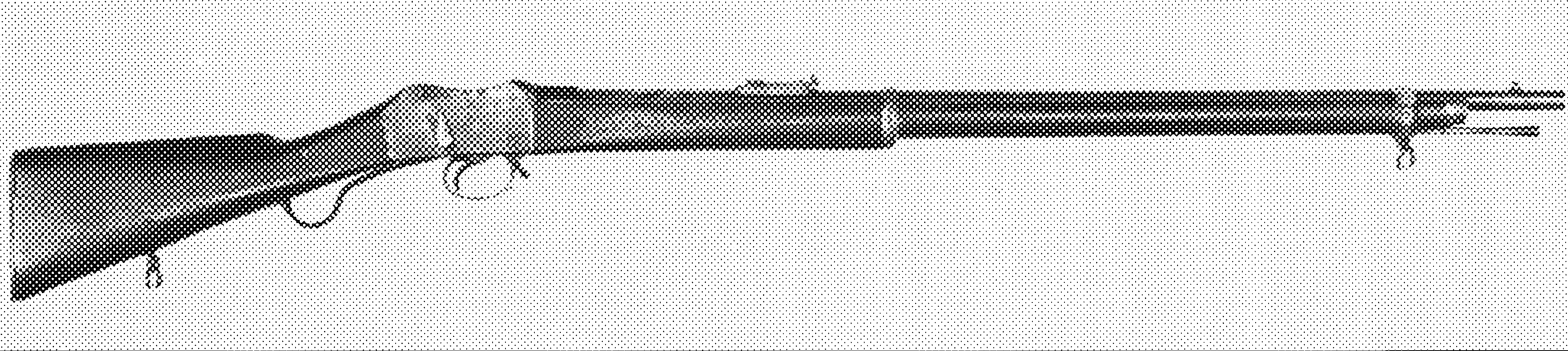 Creedmoor