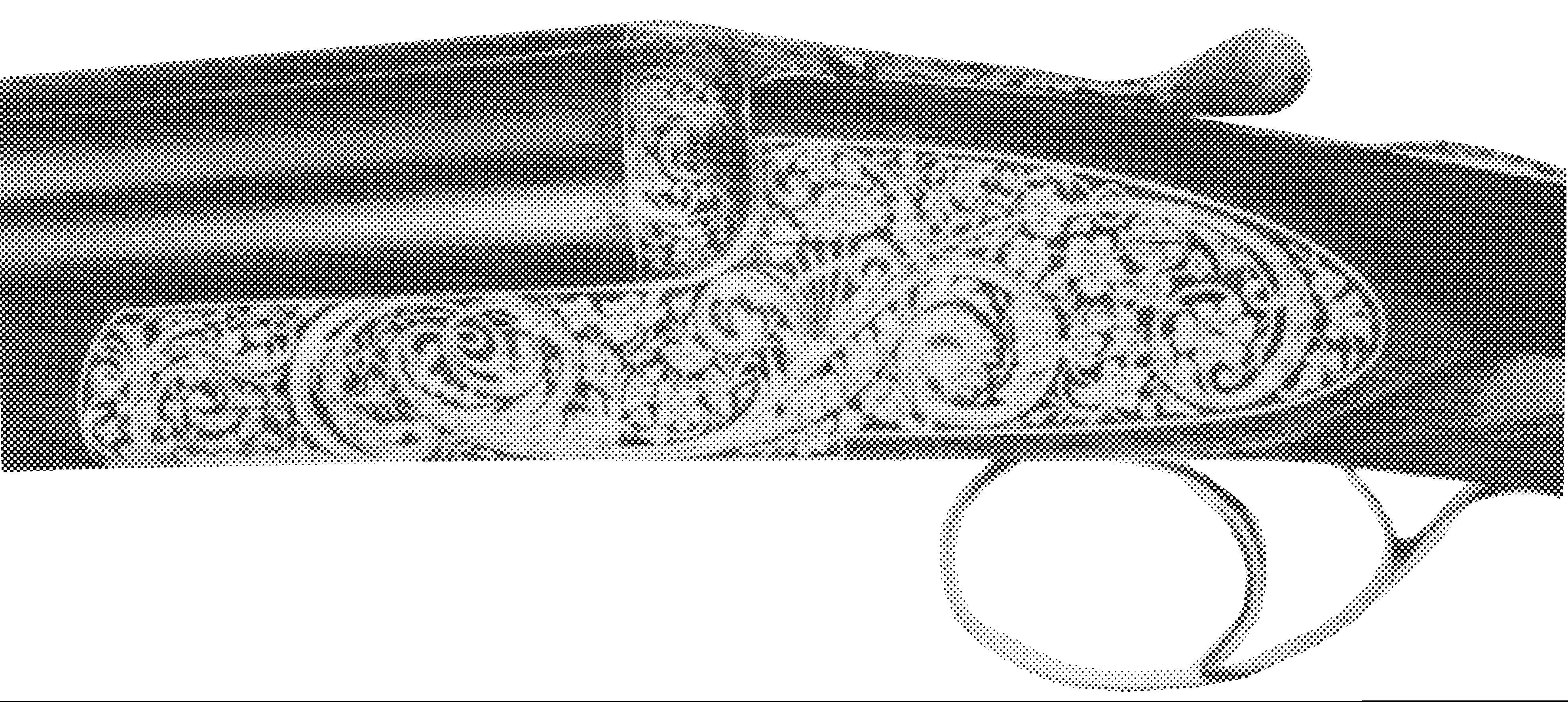 Model Monaco