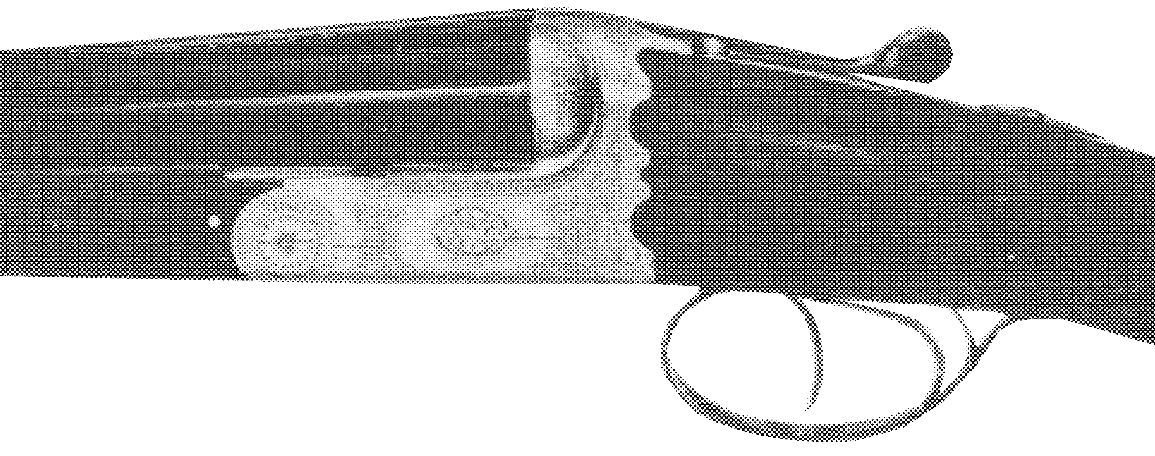 Model Piuma (BSEE)