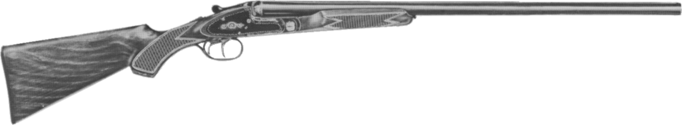 Ambassador Model