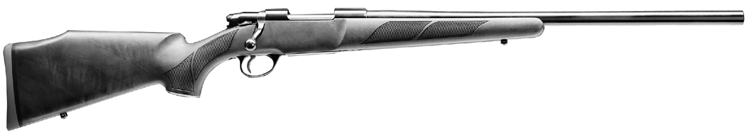 Model 75 Varmint