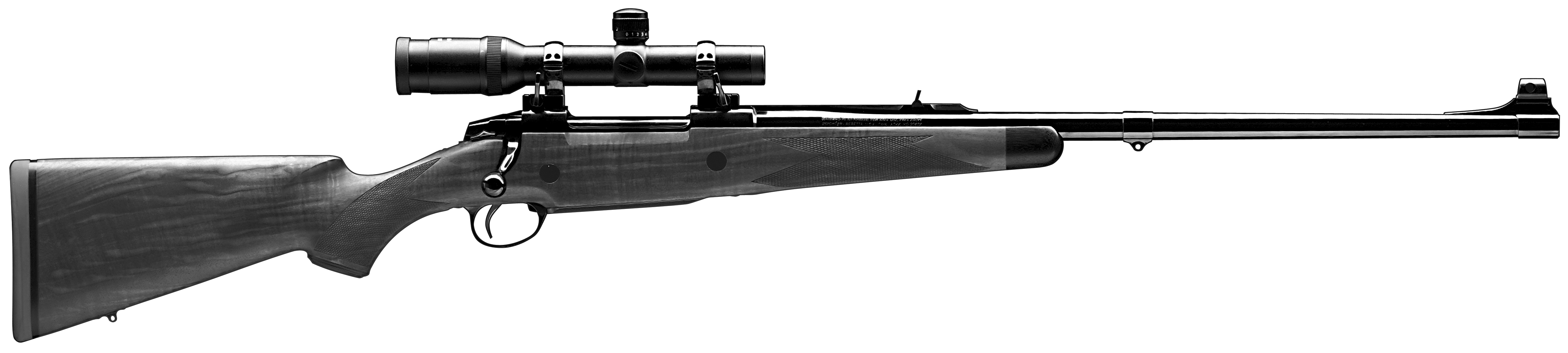 Safari 80th Anniversary Model