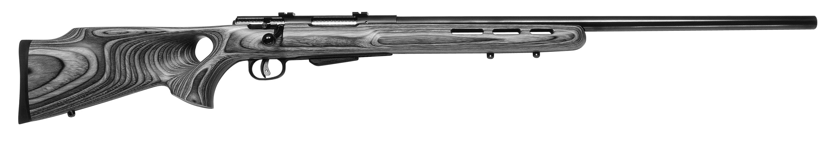 Model 25 Varminter