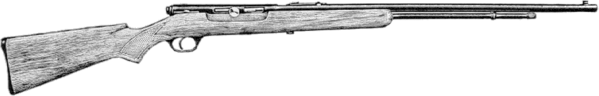 Model 6