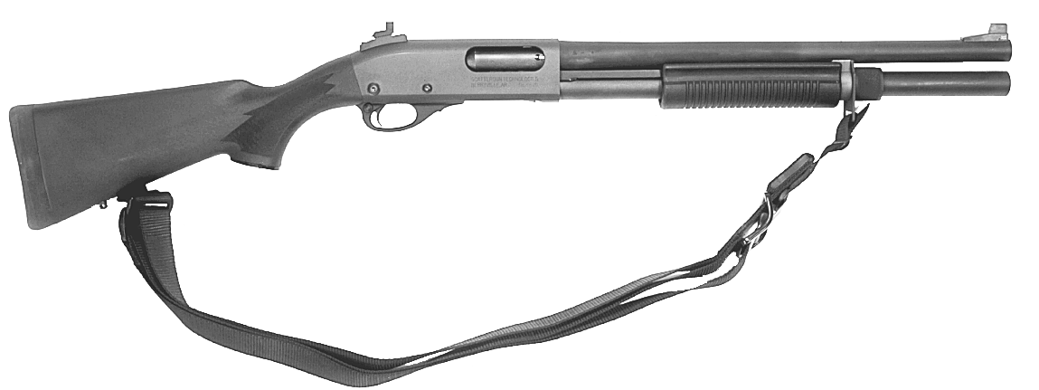 Border Patrol Model