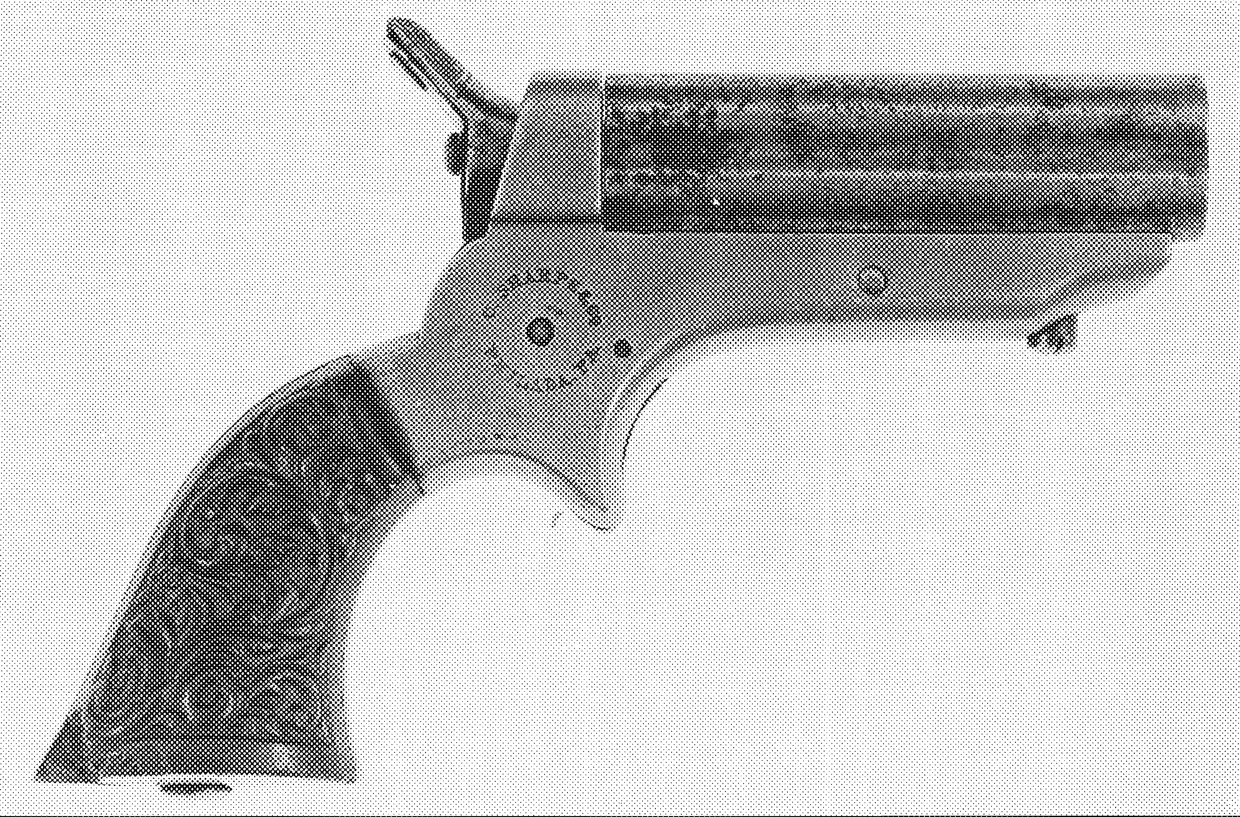 4-Shot Pepperbox Pistols