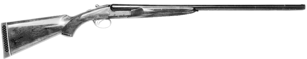 Model 100