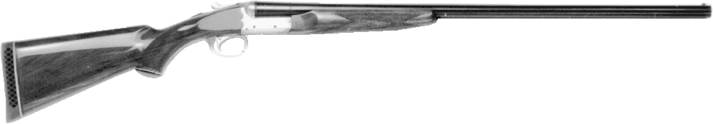 Model 200