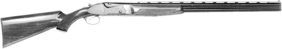 Model 500