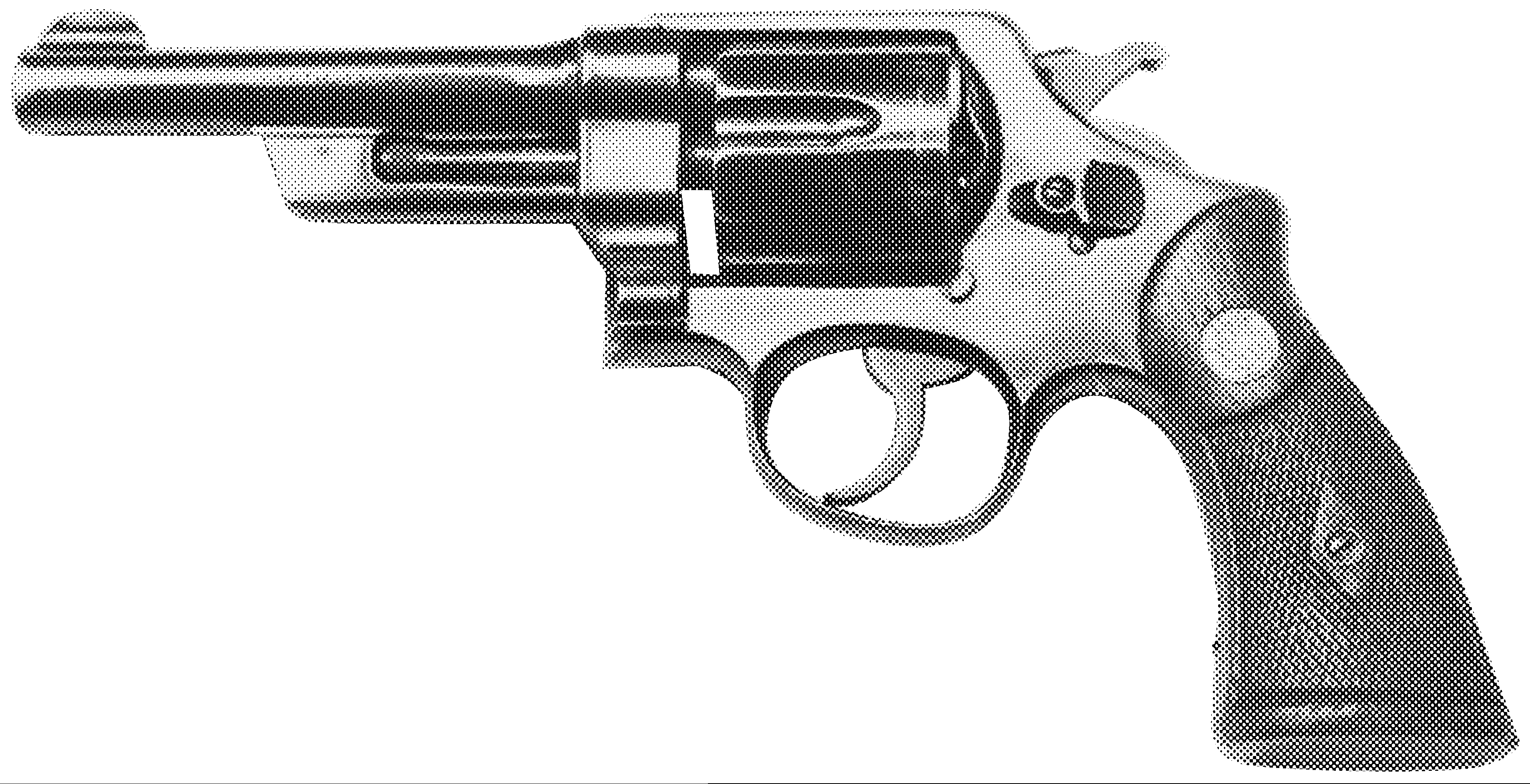 Model 20 (.38/.44 Heavy Duty)