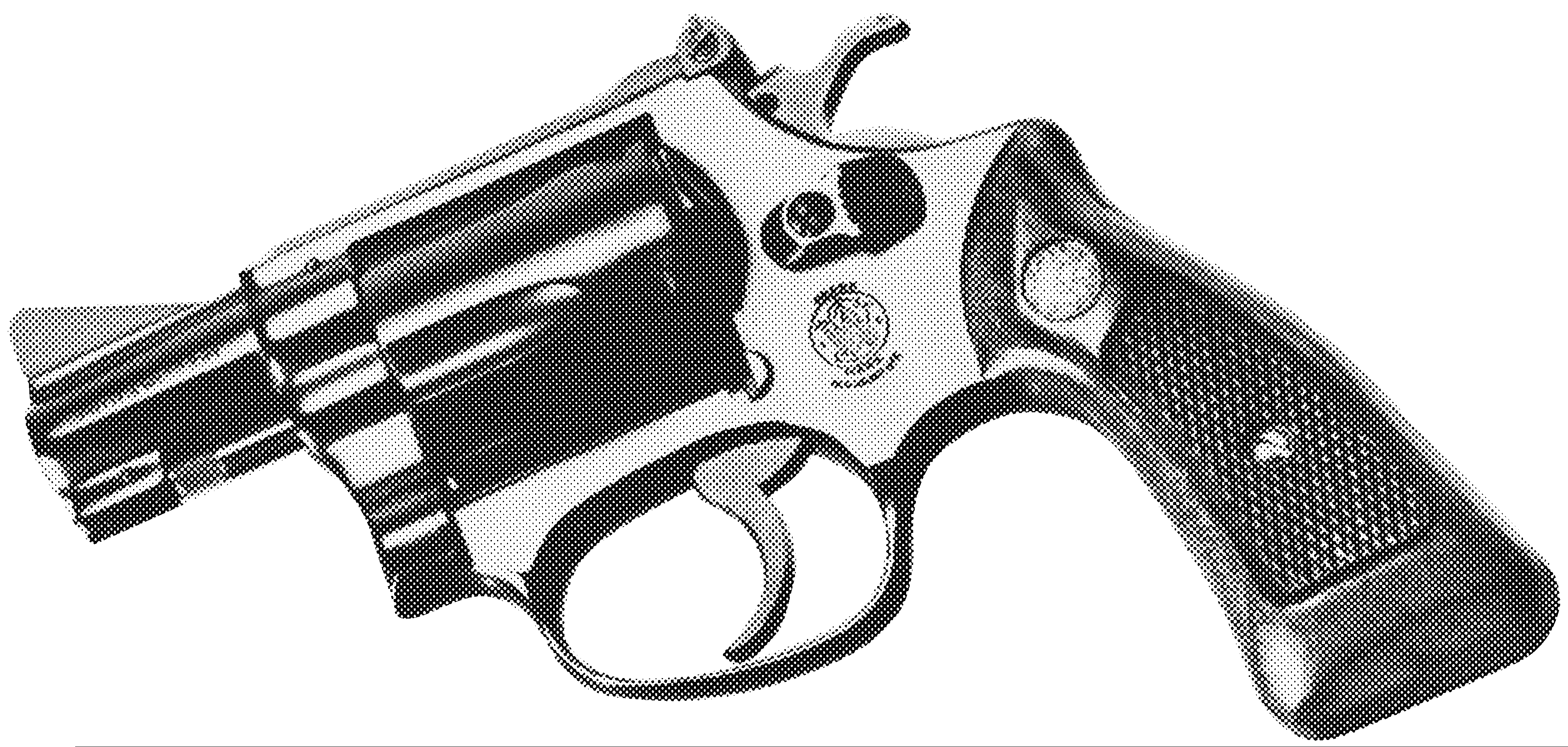 Model 36 (Chief's Special Target)