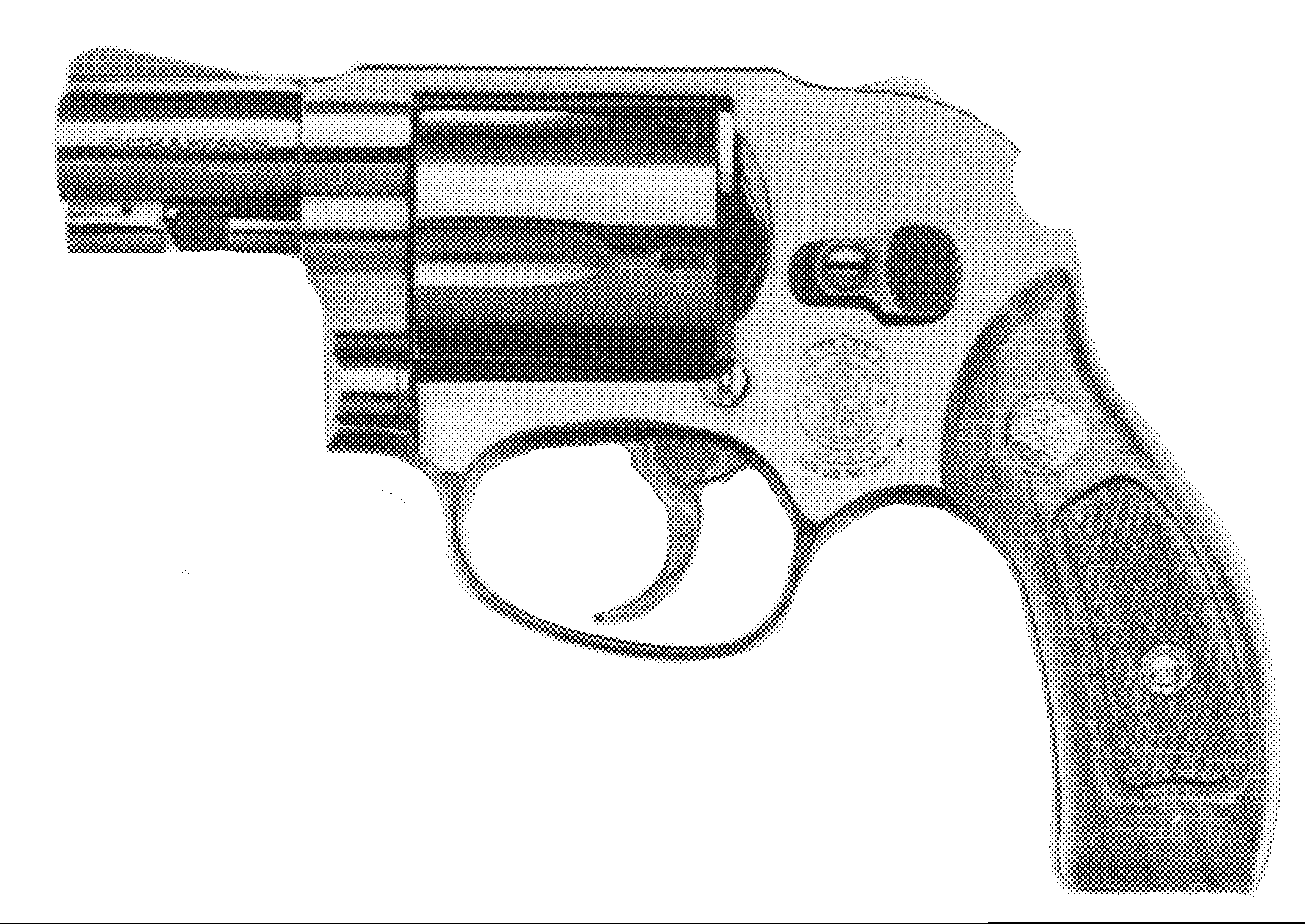 Model 49 (Bodyguard)