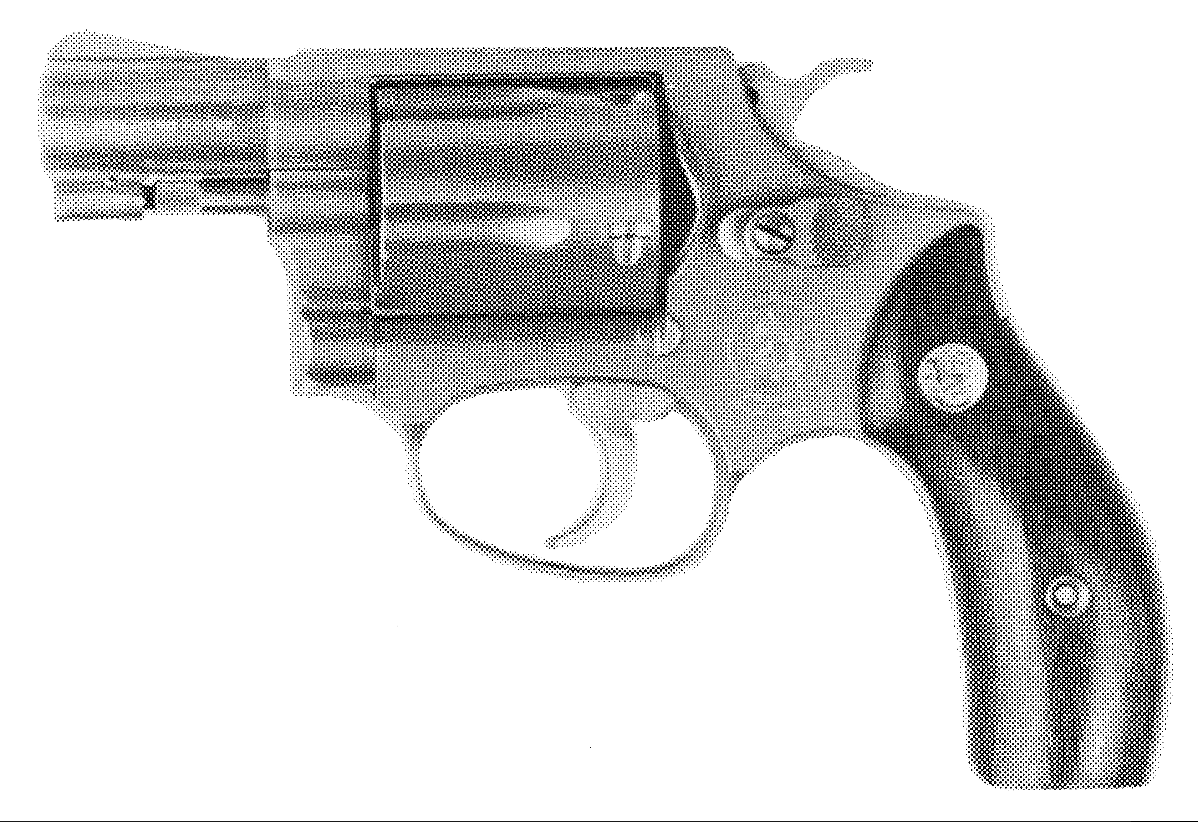 Model 60LS (LadySmith)