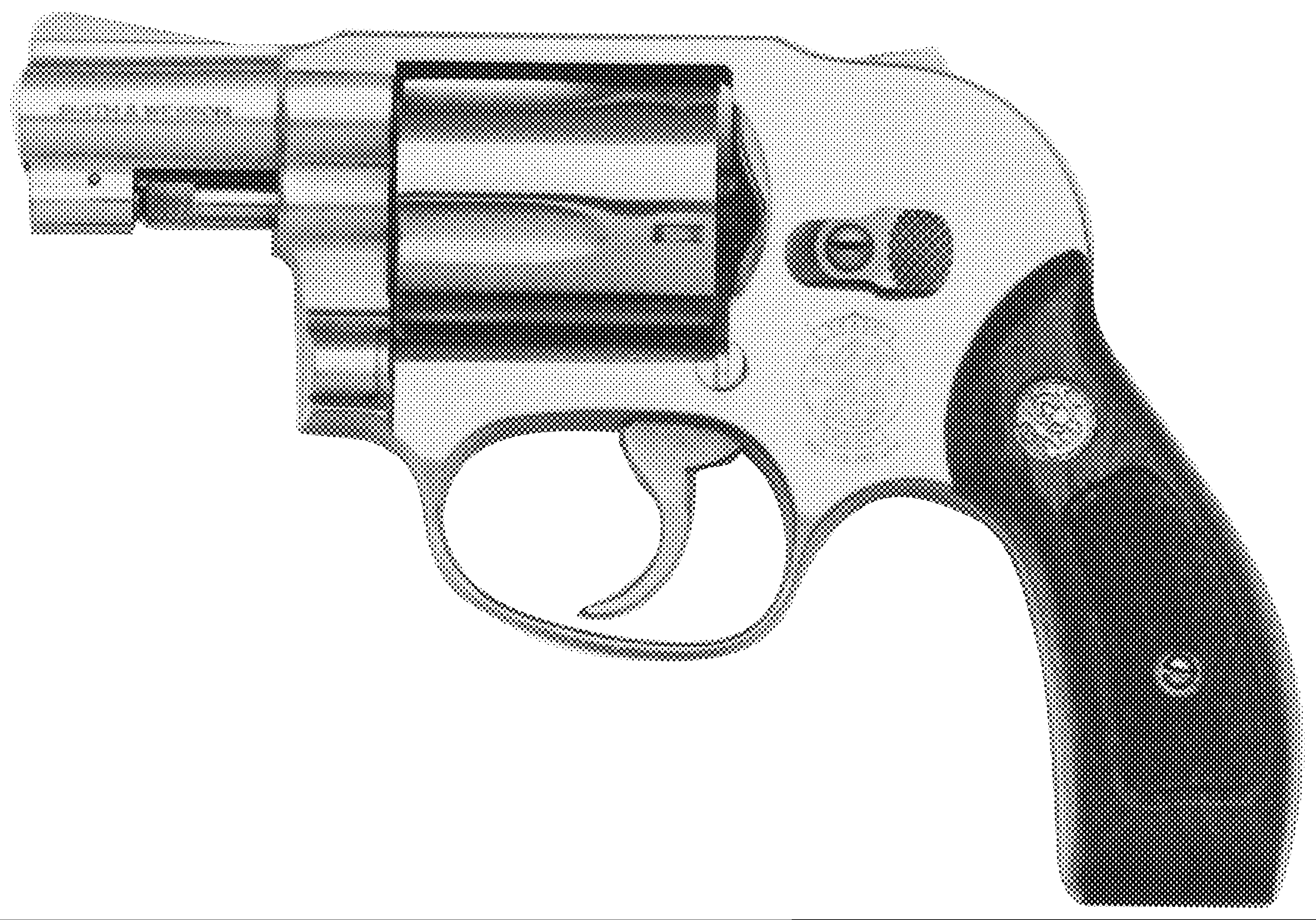 Model 649 (Bodyguard Stainless)