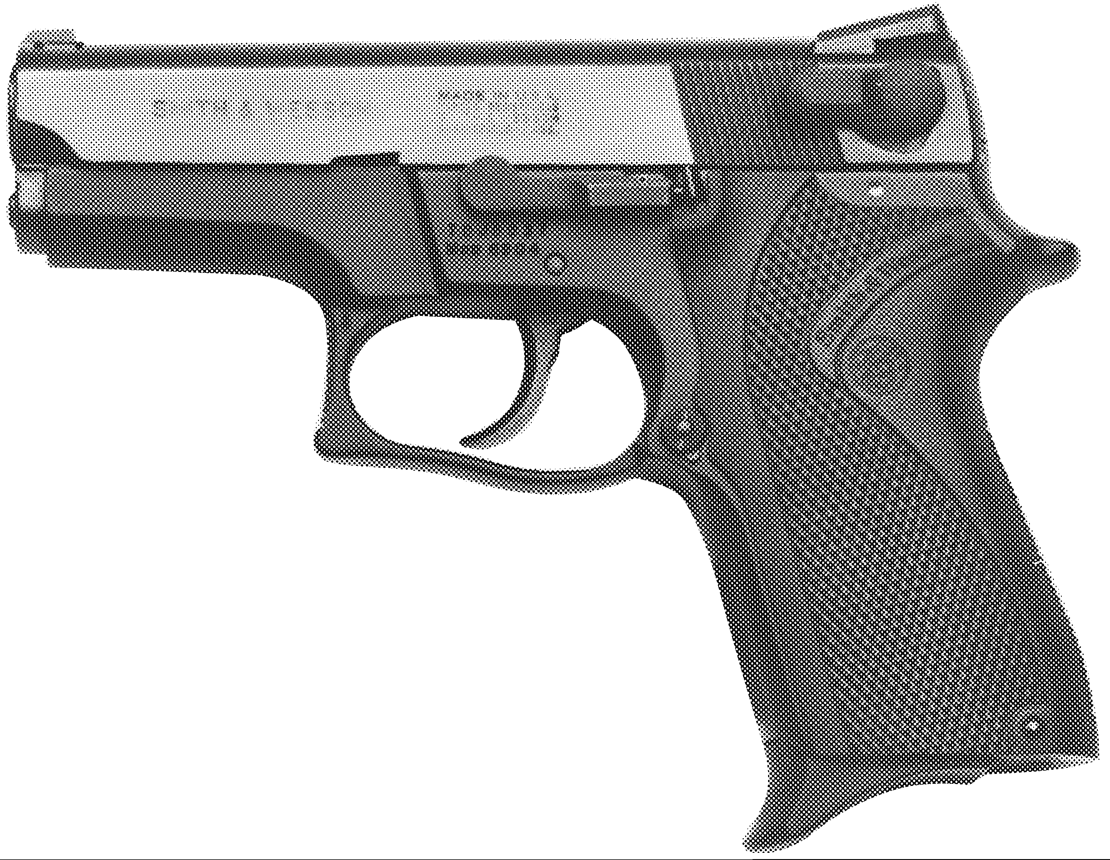 Model 6904