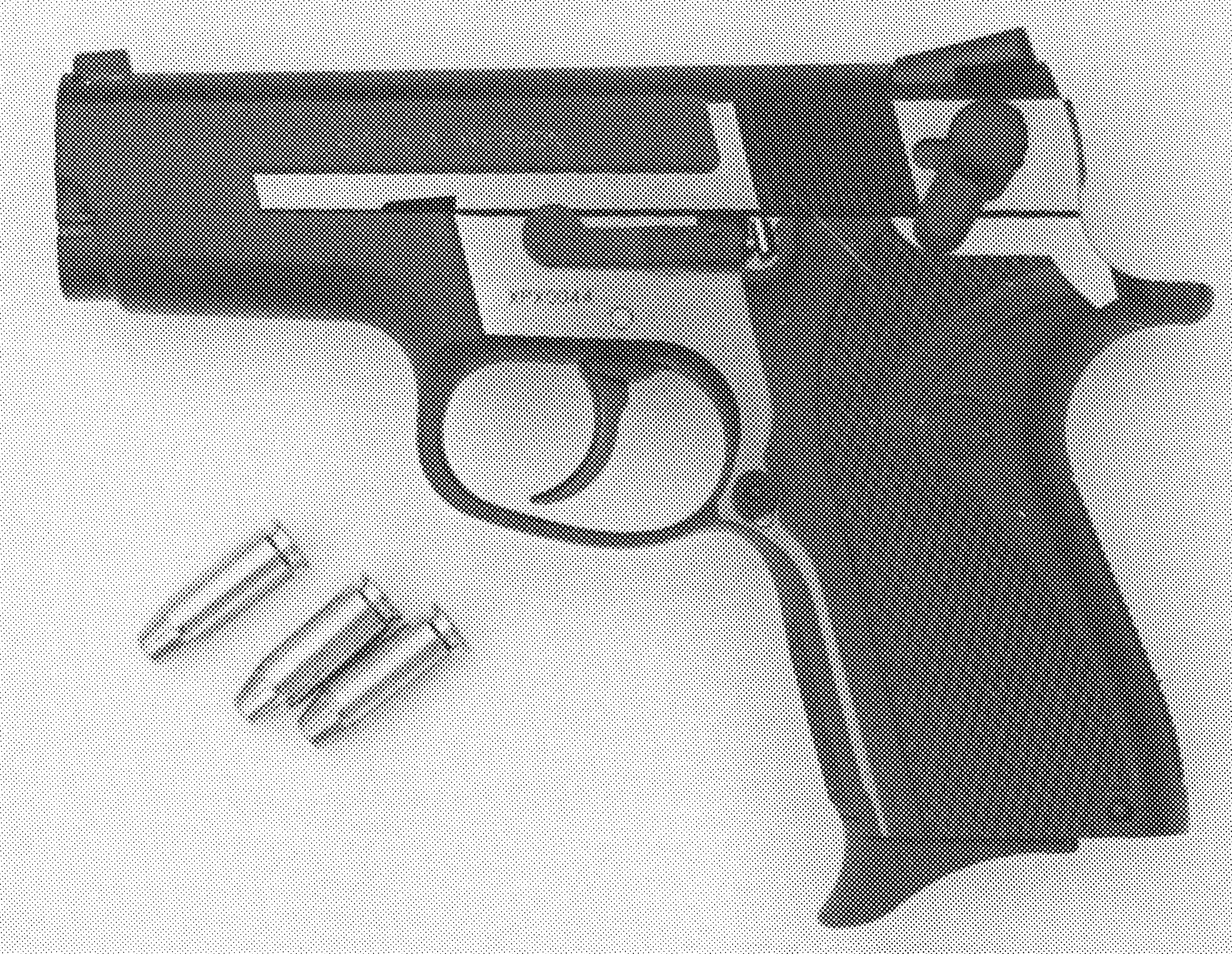 Shorty .356 TSW Performance Center