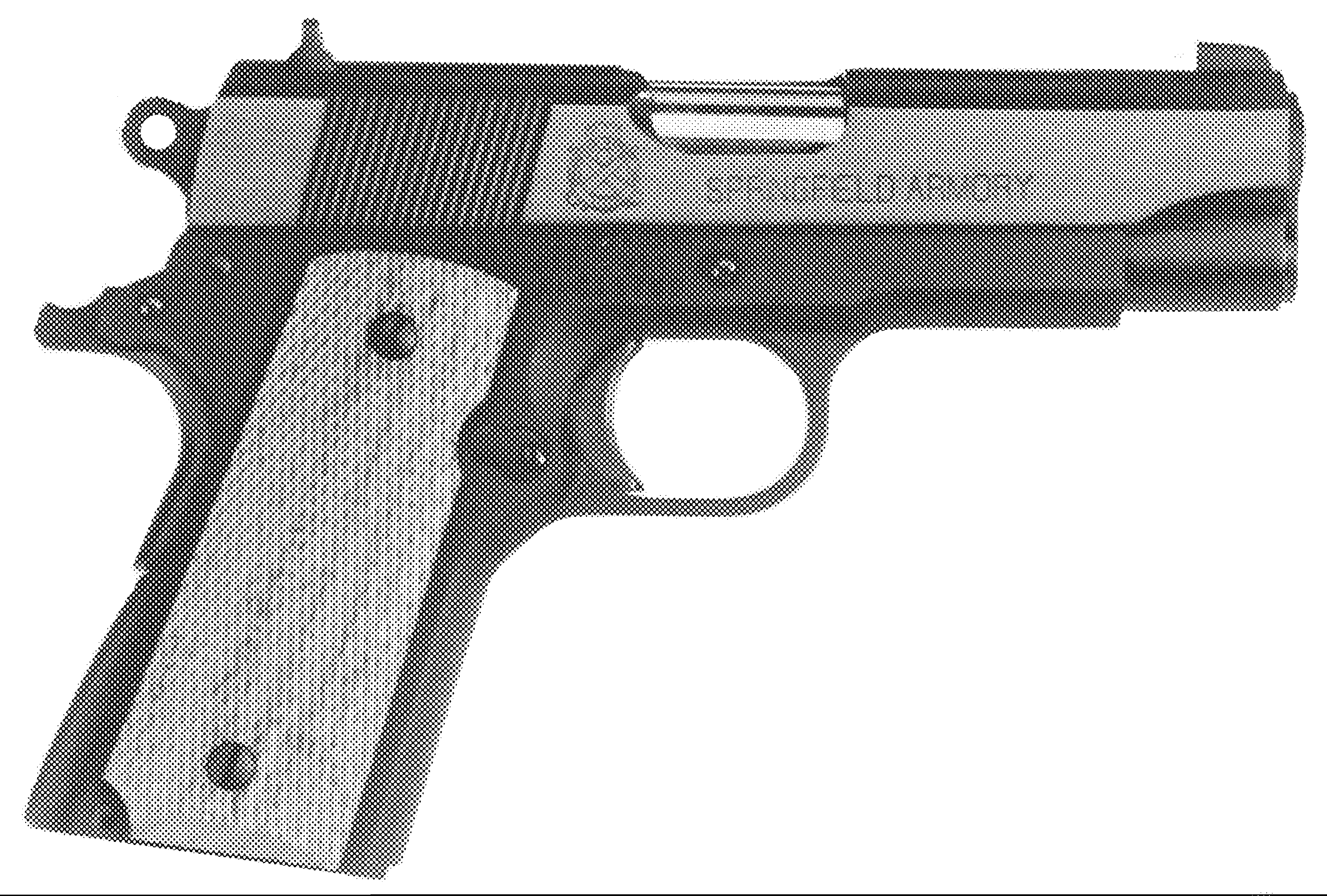 Champion Compact