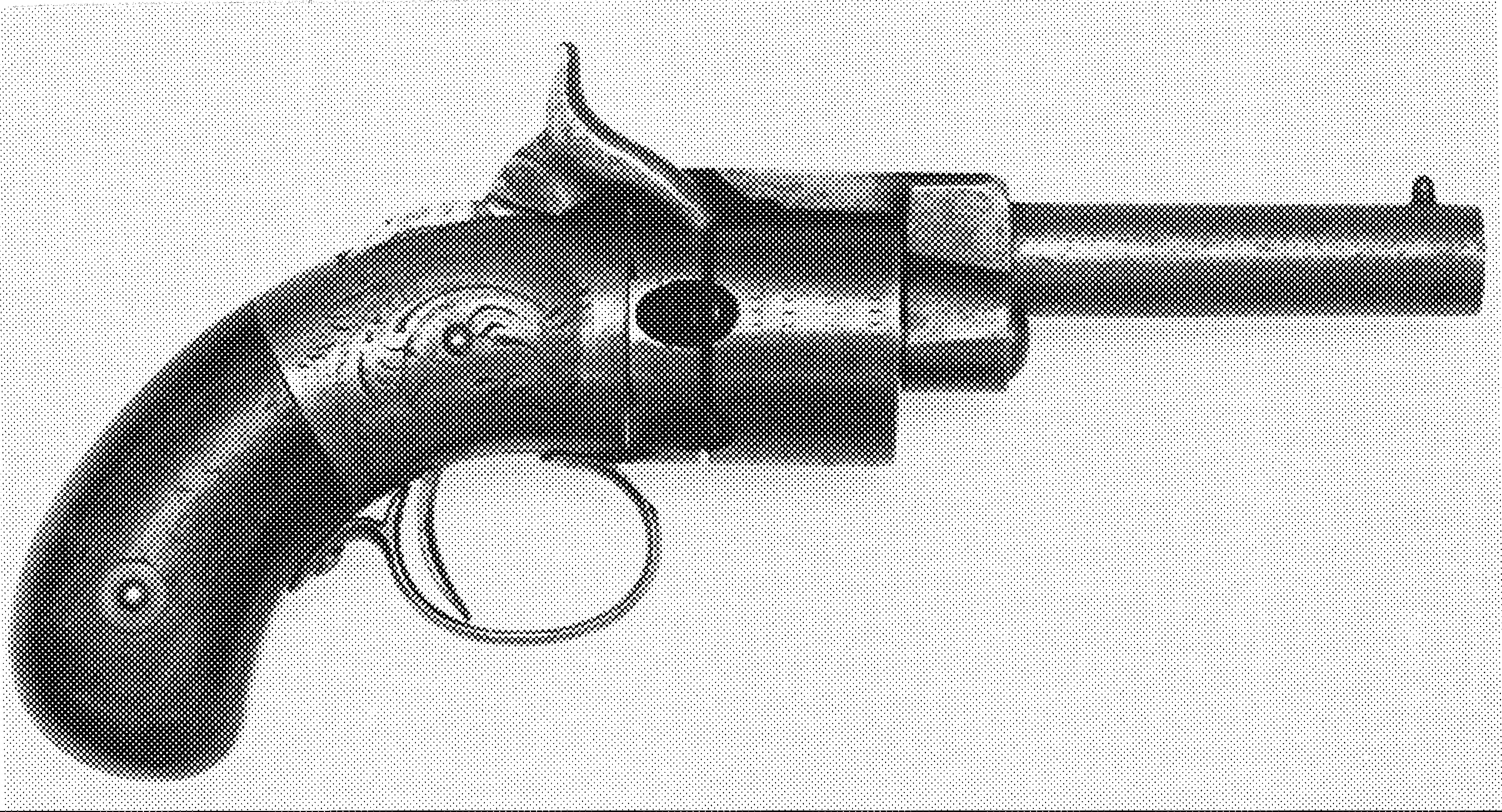 Pocket Model Revolver