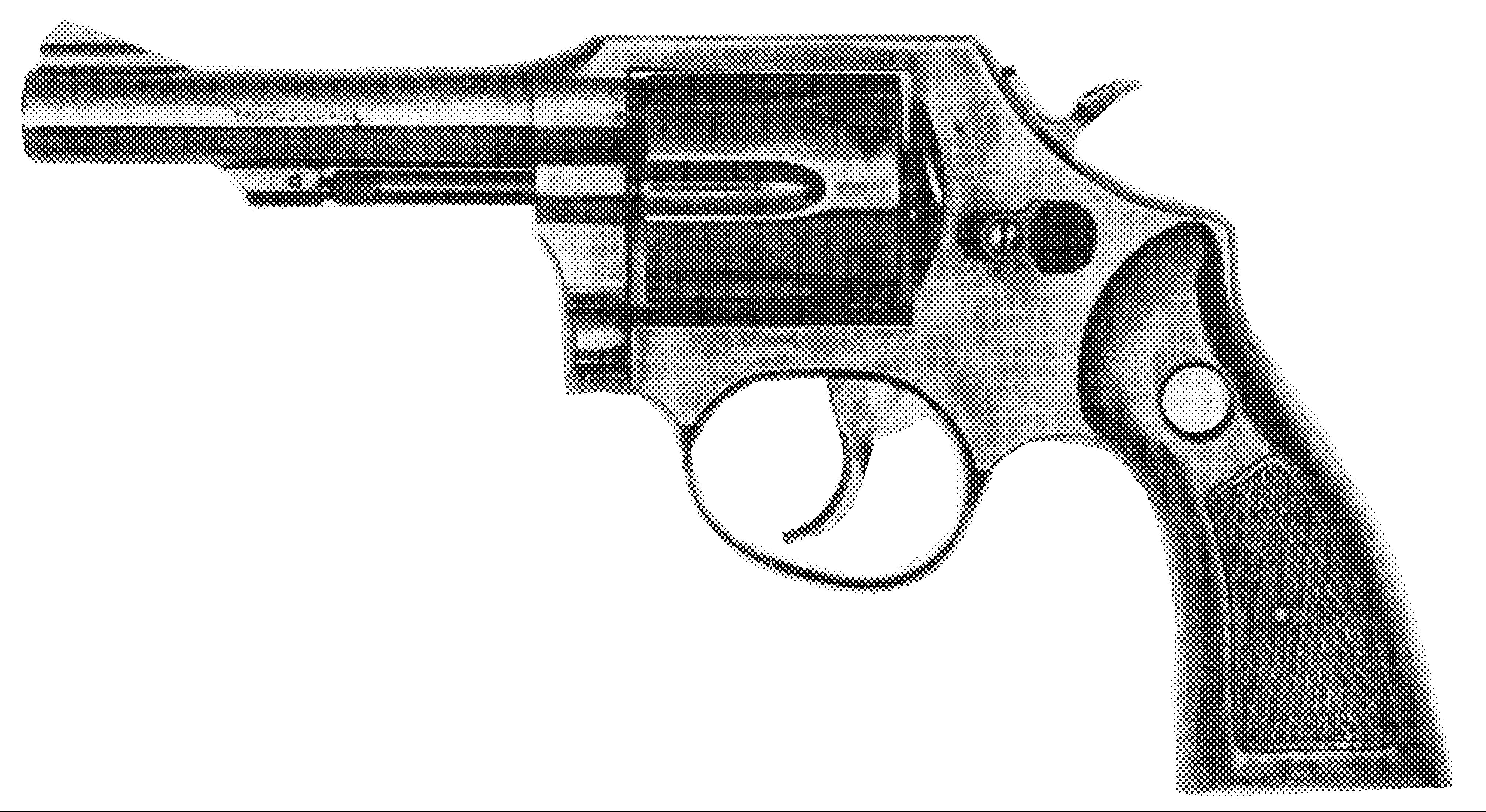 Model 80