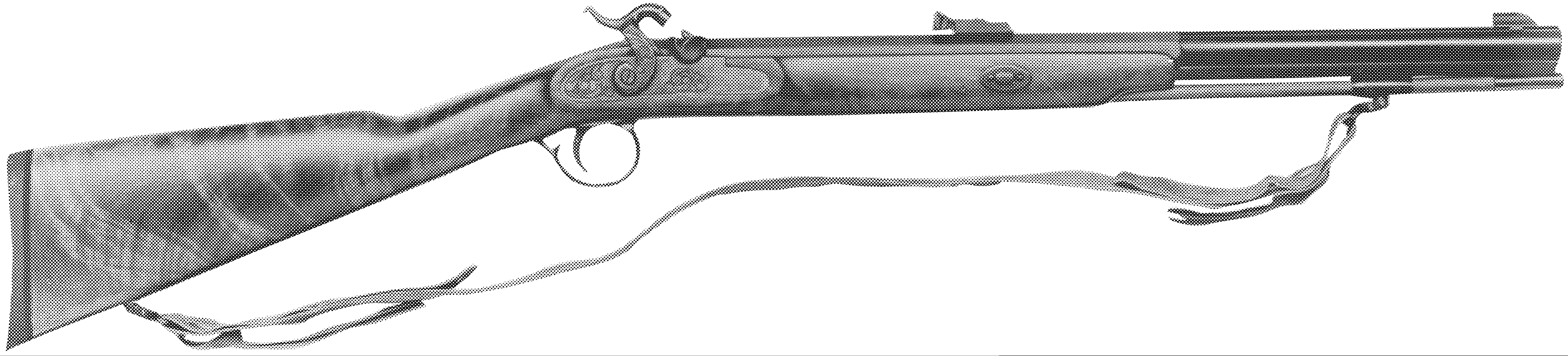 White Mountain Carbine