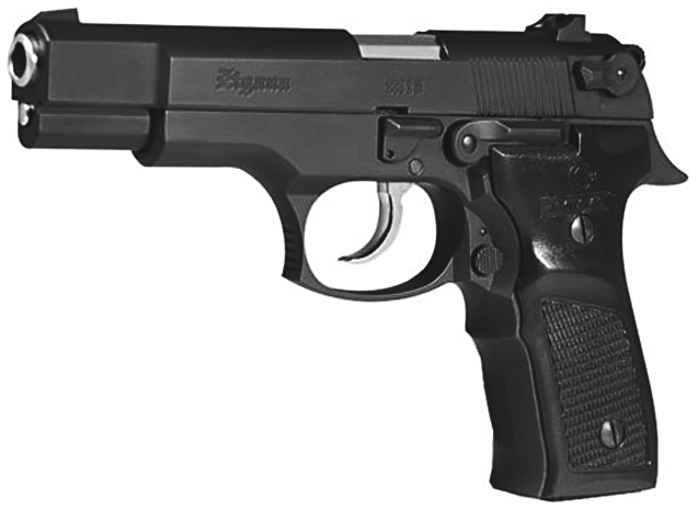 Zigana M16