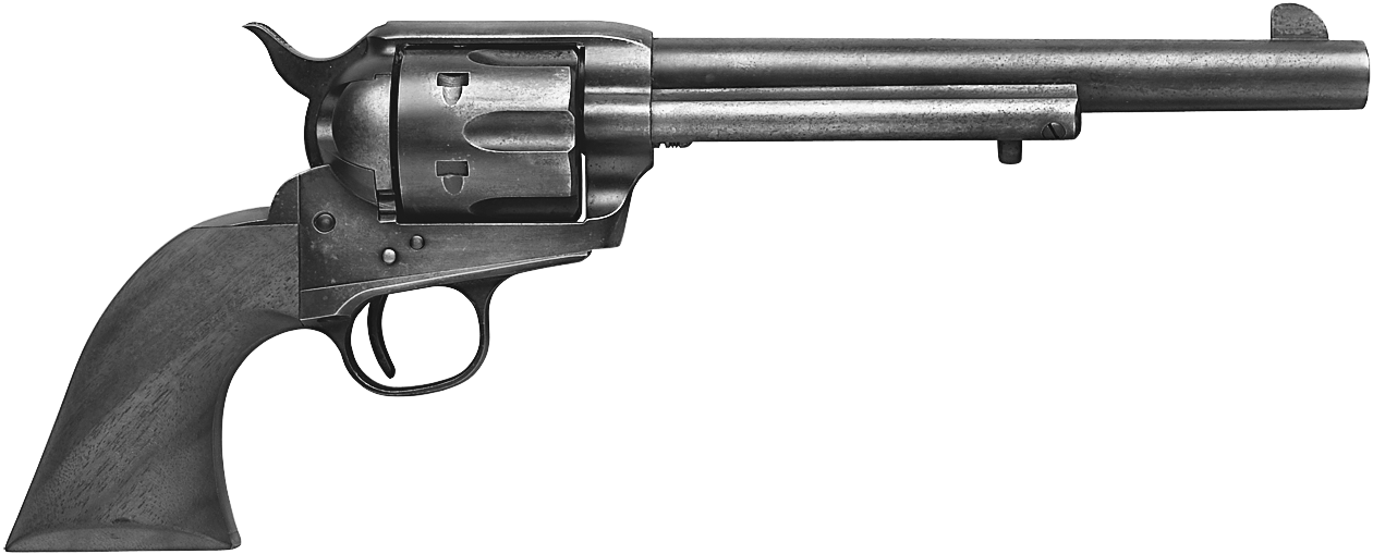 Custer Battlefield Gun